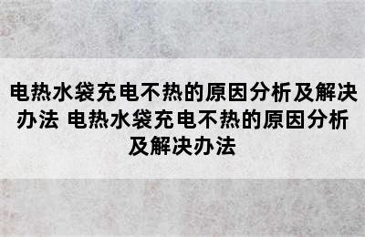 电热水袋充电不热的原因分析及解决办法 电热水袋充电不热的原因分析及解决办法